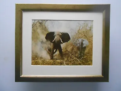 David Shepherd Print 'Dusty Elephant' FRAMED • £22
