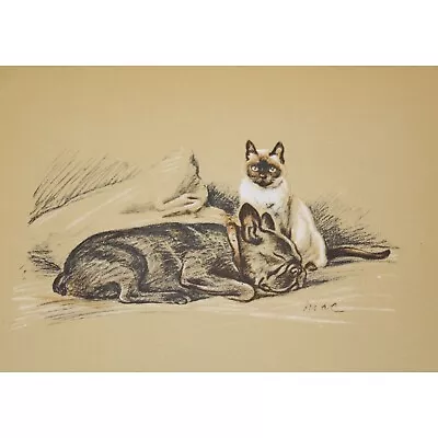 Lucy Dawson 1937 Boston Terrier Dog Print Vintage 90505 Laddie Siamese Cat • $18