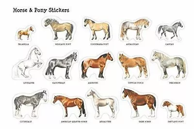 £5.99 • Buy Horse And Pony Colouring Book With 30 Stickers Jennifer Bell Paperback NEW Book
