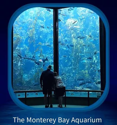 Monterey Bay Aquarium E-ticket  (reservation Needed ) • $35.99