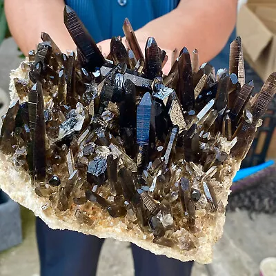 2.73LB Natural Beautiful Black Quartz Crystal Cluster Mineral Specimen • $3.25