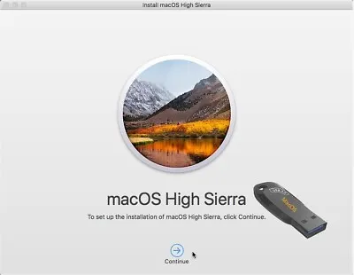 Apple MacOS 10.13 High Sierra Installer Bootable Wood Drive Recovery Upgrade Mac • $25