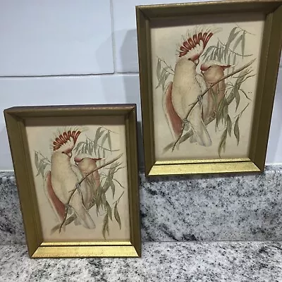 LEADBEATER'S COCKATOO BIRD Gould Wooden Frames Vintage Beautiful 2~7 3/4 X 5 3/4 • $21.75