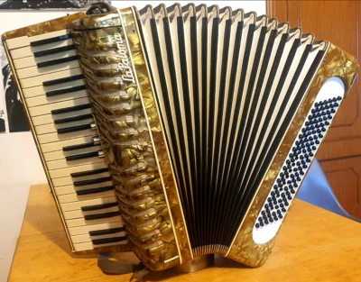 Cinghie Per Fisarmonica 10 Cm - Made In Italy, Nere, Adatte A Tutti I Modelli Cinghia Fisarmonica - Foto 2