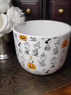 New Charlie  Brown Snoopy 🎃 Planter Flower Pot Candy Dish Kitchen Bowl Peanuts • $16.95