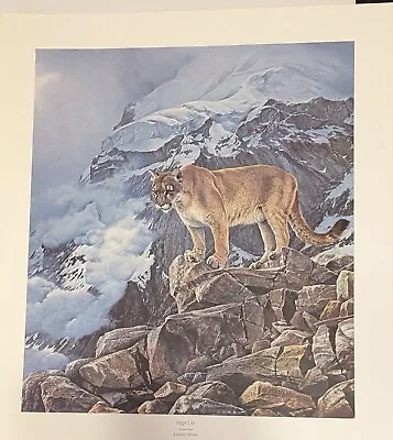 HIGH LIFE Alan Hunt Wildlife Print W/coa Cougar Mountain Lion Puma Art • $200