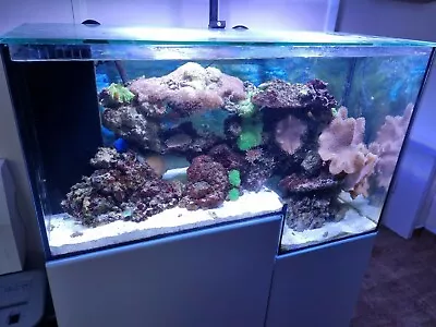 Drop-off Reef Tank. Marine Salt Water Fish Aquarium And Cabinet Stand • £2100