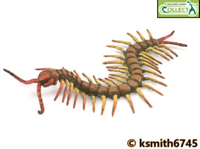 £6.40 • Buy CollectA CENTIPEDE Plastic Toy Wild Farm Animal Insect Bug  NEW 💥
