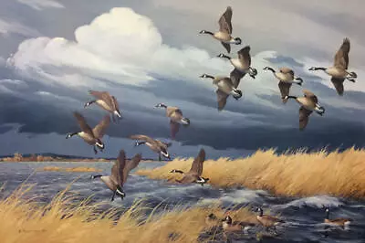 Maynard Reece - Dark Sky - Canada Geese - Signed Limited Lithograph - MINT • $88