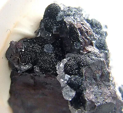 £7.75 • Buy Fluorite Specularite Hematite Florence Mine Cumbria UK Mineral Specimen 12g 23mm