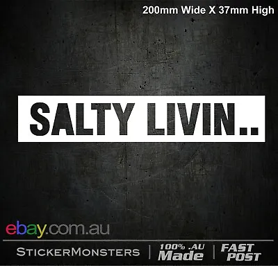 SURF SALTY LIVIN Sticker 200mmW Surfing Water Sports Bodyboarding Car Van Bus • $5.99