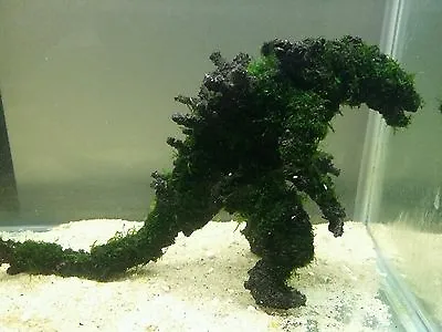 Living Aquatic Art Moss Ornament For Aquariums Fish Tanks Mosszilla Small  • $115