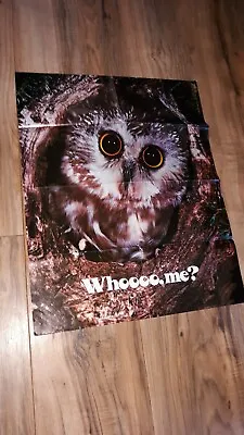 VINTAGE 1970s XEROX EDUCATION Whoooo Me Owl POSTER 20.5 X 16 Vtg 1976 • $18.95