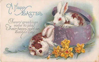 Adorable Bunnies With A Hat Box & Lovely Daffodils-Old Easter PC-Series 1717 A • $1.50