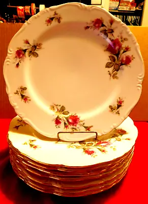 Plates~Ucagco China Japan Old Rose Gold Trim Dinner 10 1/4  Vintage 1950's 8Pcs. • $130