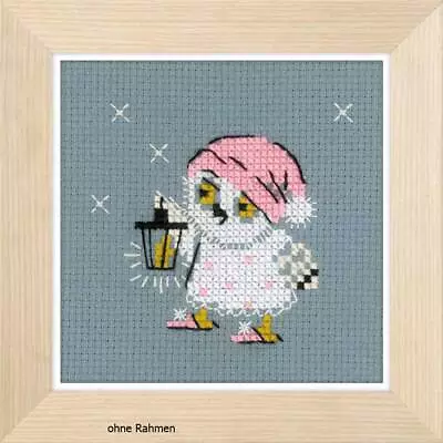 Riolis Counted Cross Stitch Kit Lantern DIY • $10.48