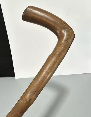 Antique Knobby Thorn Wood Cane Walking Stick Irish Shillelagh Blackthorn Crook • $34.99