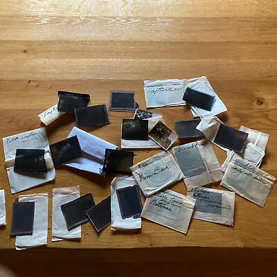 £42.99 • Buy 7 X 20th Century Glass Plate Photograph Negatives + Other Negative Lake District