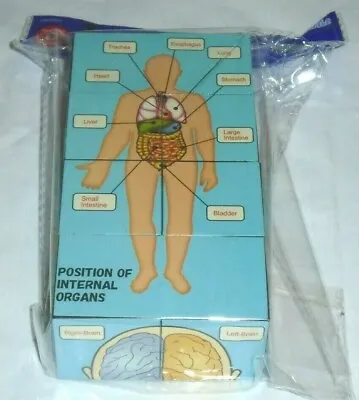 £5.25 • Buy Human Anatomy Study Cube