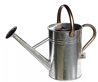 Garden Metal Watering Cans Outdoor Plant Watering Can Rose 4 Litre Coloured  • £19.99