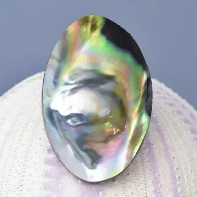 Mabe Blister Pearl In Shell Extreme Colorful Rainbow Iridescent 9.09 G Cabochon • $29
