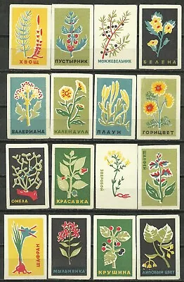 RUSSIA 1962 Matchbox Labels - Medicinal Plants(catalog # 103) • $4