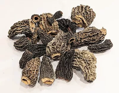 1 Lb Wild Harvested Dried Morel Mushrooms • $130