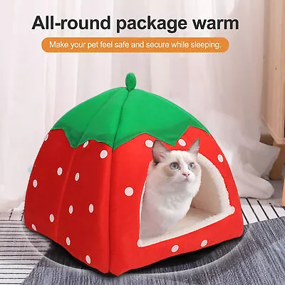 Pet Bed For Small Autumn Winter Cozy Guinea Pig Rabbit Ferret Warm Hideaway Hut • $25.89