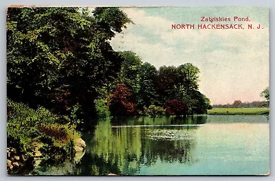 Zabriskies Pond North Hackensack NJ C1911 Postcard S7 • $12.50