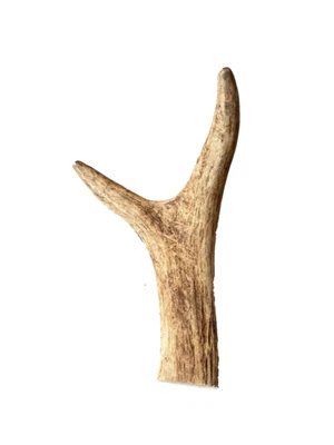 £3.75 • Buy Wild Deer Antler Dog Chew Treat 100% Natural Long Lasting