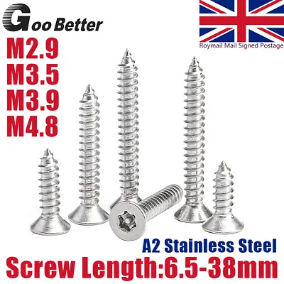 Countersunk Csk Torx 6 Lobe Pin Self Tapping Screws Security A2 Stainless Steel • £1.80