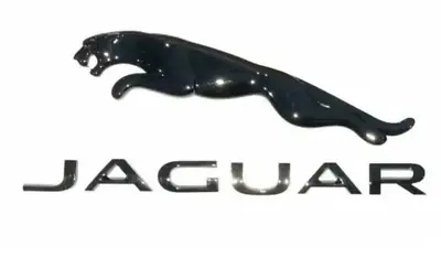 Black Jaguar Cat 16.5 Boot  Emblem With  Script 18.5 Badge F X S TYPE XF XJ E XE • £15.98