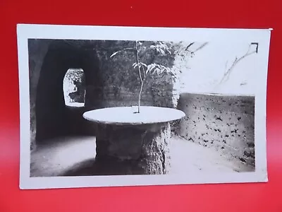 Vintage Postcard CALIFORNIA 1950s Era RPPC Underground Gardens Fresno • $5