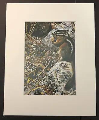Carl Brenders  Harvest Time-Chipmunk  8 X 10 Matted Wildlife Print • $20.99