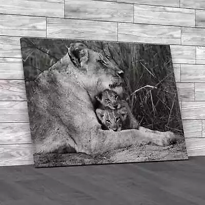 Lioness And Cubs Black White Canvas Print Large Picture Wall Art • £59.95