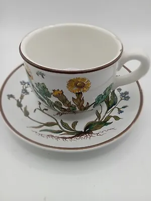 Villeroy And Boch Botanica Porcelain  Cup And Saucer • $17