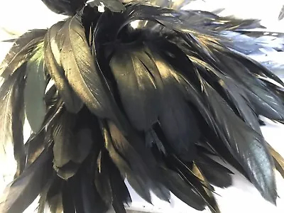 Bulk 50pcs Black Bronze Rooster Coque Feathers 12-20cm DIY Craft Juju Hat  • $11.95