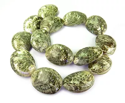 😉 Green Abalone Beads Whole Shell Shell Beads Strand RARITY 😉 • £13.80