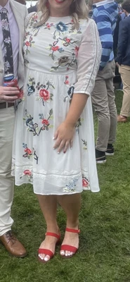 $60 • Buy ASOS Curve Embroidered White Dress 