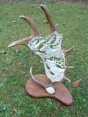 Stunning Real Fallow Deer Antler Carving - Dama Dama - Taxidermy - Hand Made • £169