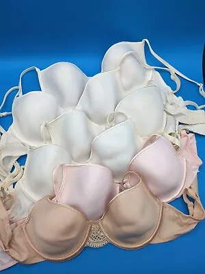 Lily Of France Bra Push Up Cup 36C Underwire Lace -- Lot Of 6 Items • $45.99