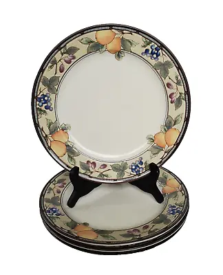 Mikasa Garden Harvest Dinner Plates *Set Of 4* 11  Diameter CAC29 Intaglio • $34.95