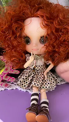 Full Set 8  Blythe Doll With Clothes Shoes BJD Middie Rusty Hair Matte Face Toys • $56.52