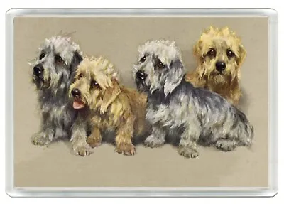 £2.99 • Buy Dandie Dinmont Terrier Dogs Dog Art Print Novelty Fridge Magnet Great Gift