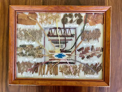 VINTAGE AUTHENTIC NAVAJO PLANT DYE CHART - 12 COLORS Loom Rug Weaving Framed • $197