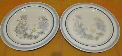 Lot Of 2 Vintage Blue Whisper Plates - 10-1/2  Across Mt. Clemens Pottery Japan • $14.99