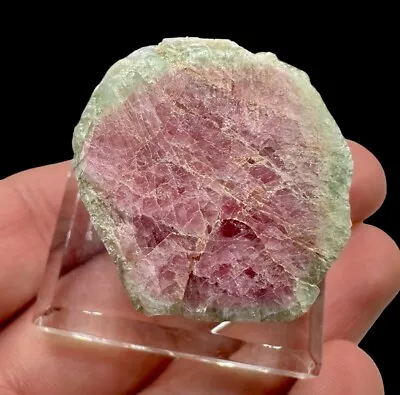 Partial Polished Watermelon Tourmaline : Dunton Gem Quarry Newry  Maine 🇺🇸 • $225