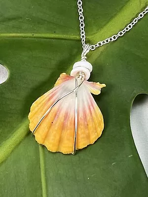 Sunrise Shell Necklace With Sterling Silver Chain • $80