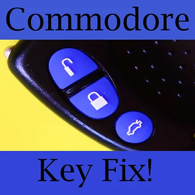 Holden Commodore Key Buttons VS VT VX VY VZ Blue Set • $3.80