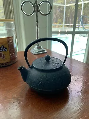 Vintage Cast Iron Tea Kettle • $15